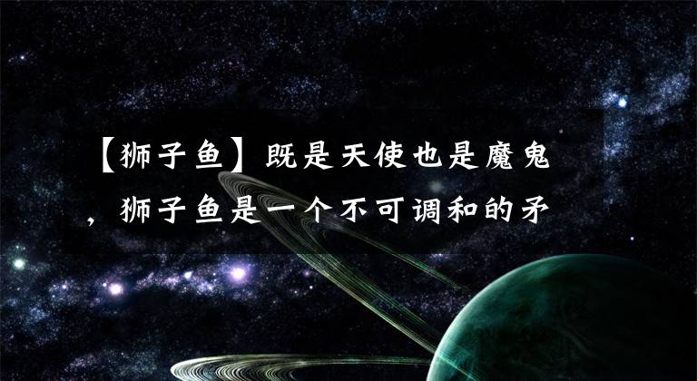 【狮子鱼】既是天使也是魔鬼，狮子鱼是一个不可调和的矛盾体