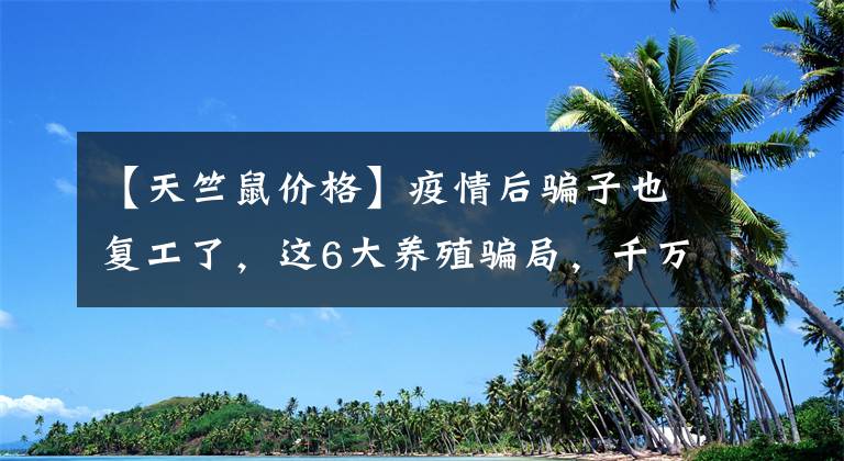 【天竺鼠价格】疫情后骗子也复工了，这6大养殖骗局，千万别碰