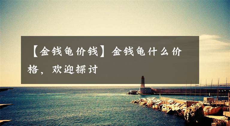 【金钱龟价钱】金钱龟什么价格，欢迎探讨