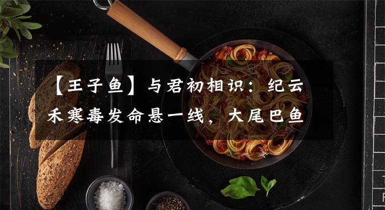 【王子鱼】与君初相识：纪云禾寒毒发命悬一线，大尾巴鱼断尾，他是鲛族王子