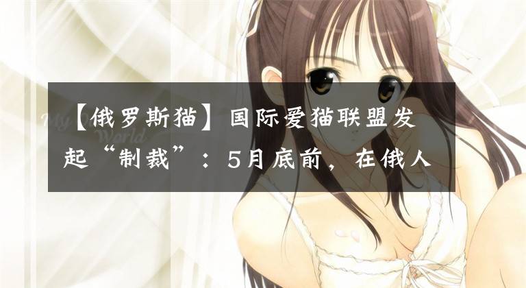 【俄罗斯猫】国际爱猫联盟发起“制裁”：5月底前，在俄人士的猫不得参加其展览