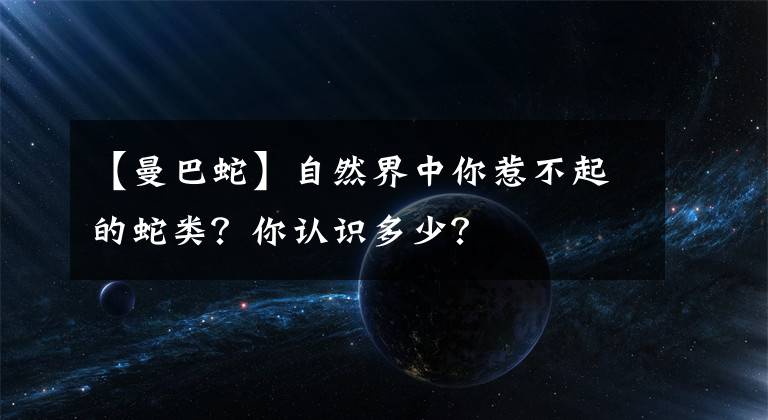 【曼巴蛇】自然界中你惹不起的蛇类？你认识多少？