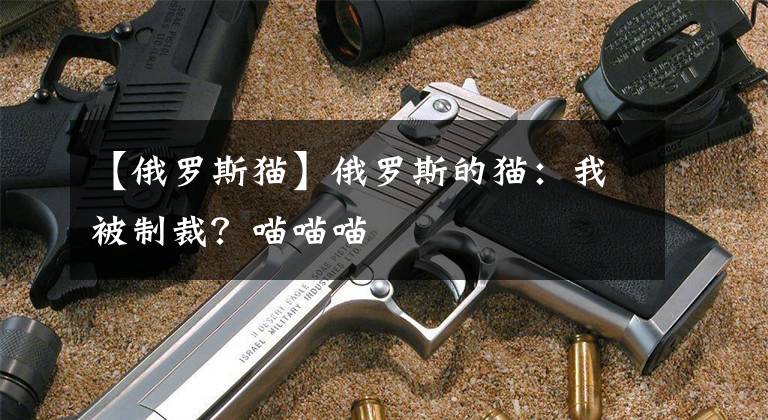 【俄罗斯猫】俄罗斯的猫：我被制裁？喵喵喵