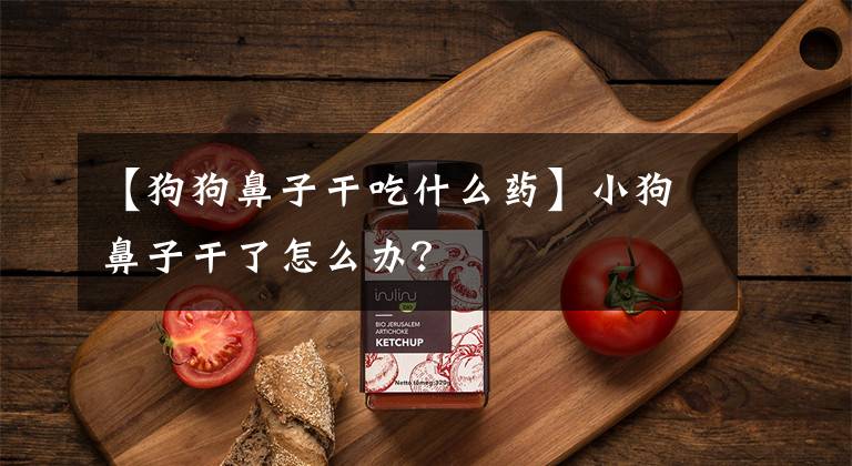 【狗狗鼻子干吃什么药】小狗鼻子干了怎么办？