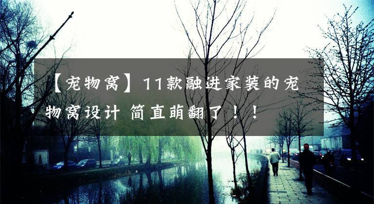 【宠物窝】11款融进家装的宠物窝设计 简直萌翻了！！