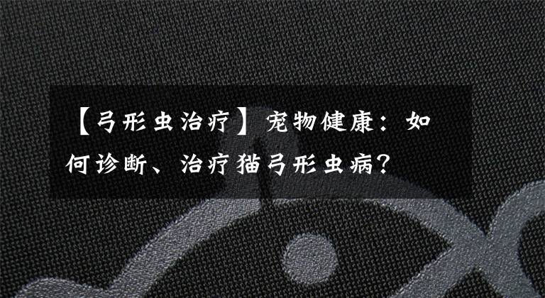 【弓形虫治疗】宠物健康：如何诊断、治疗猫弓形虫病？