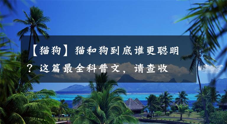 【猫狗】猫和狗到底谁更聪明？这篇最全科普文，请查收