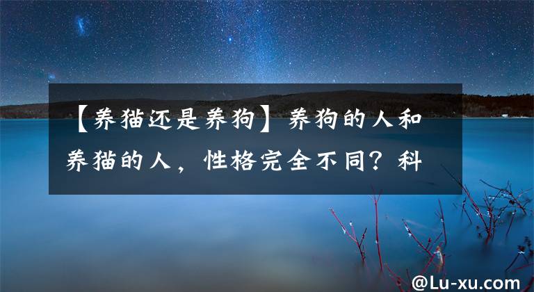【养猫还是养狗】养狗的人和养猫的人，性格完全不同？科学家：智商也不太一样