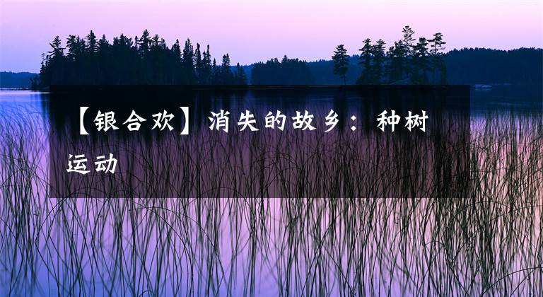 【银合欢】消失的故乡：种树运动