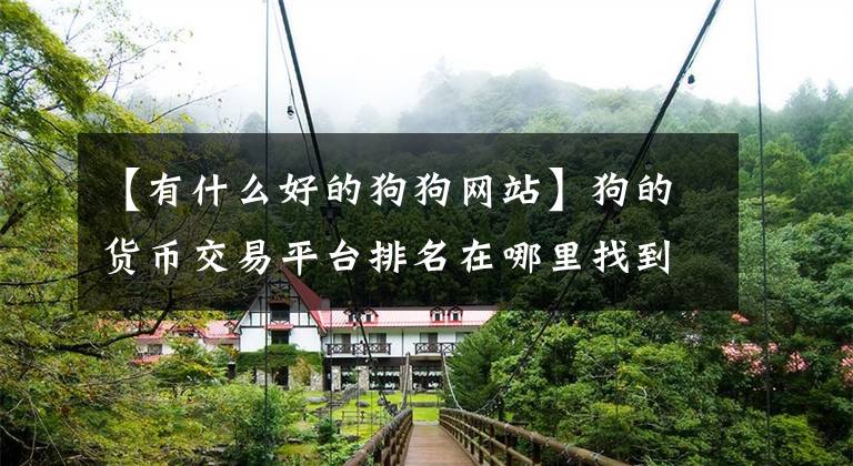 【有什么好的狗狗网站】狗的货币交易平台排名在哪里找到？