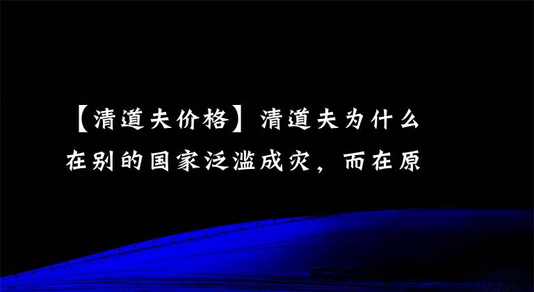 【清道夫价格】清道夫为什么在别的国家泛滥成灾，而在原产地并没有？