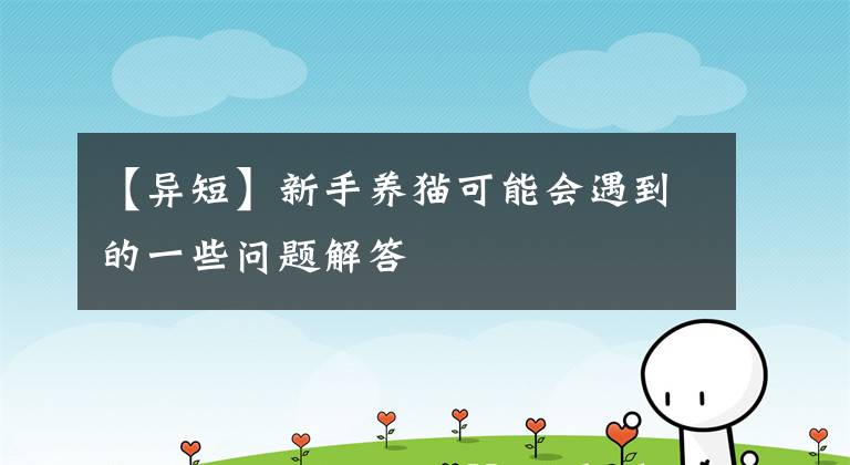 【异短】新手养猫可能会遇到的一些问题解答