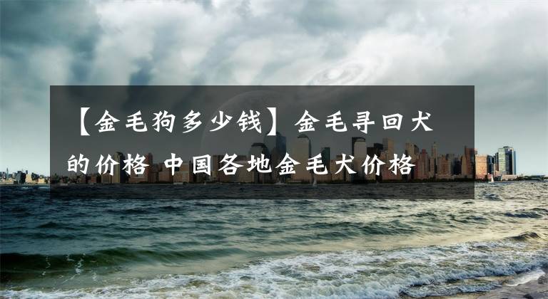 【金毛狗多少钱】金毛寻回犬的价格 中国各地金毛犬价格
