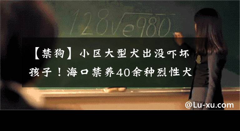 【禁狗】小区大型犬出没吓坏孩子！海口禁养40余种烈性犬，品种有这些