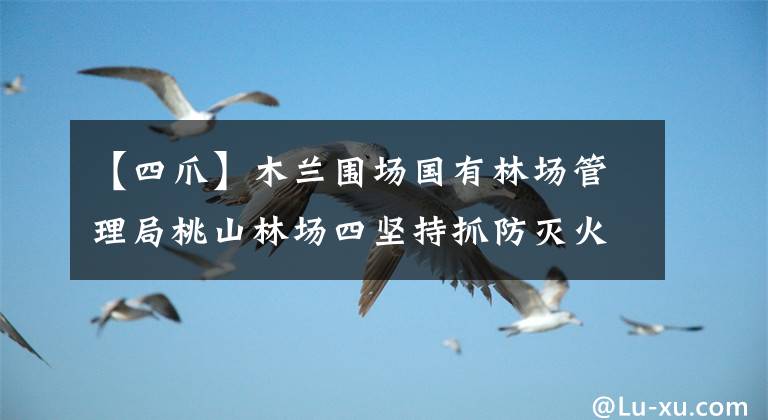 【四爪】木兰围场国有林场管理局桃山林场四坚持抓防灭火工作