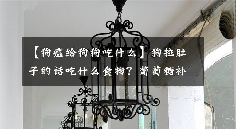 【狗瘟给狗狗吃什么】狗拉肚子的话吃什么食物？葡萄糖补充体液。