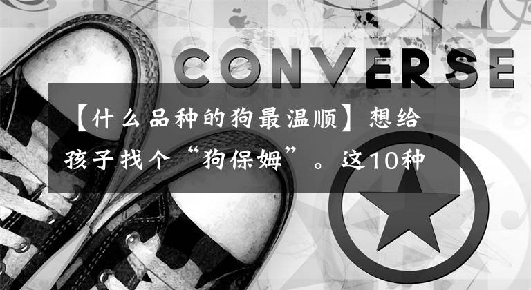 【什么品种的狗最温顺】想给孩子找个“狗保姆”。这10种温和的狗可以成为孩子的伴侣