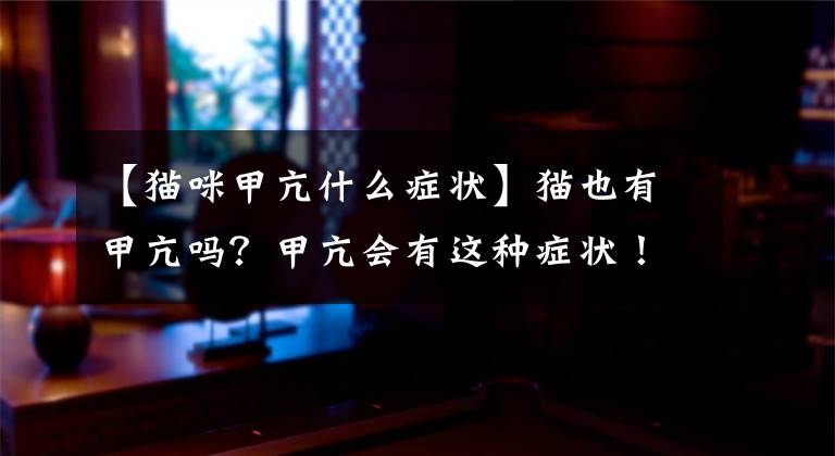 【猫咪甲亢什么症状】猫也有甲亢吗？甲亢会有这种症状！
