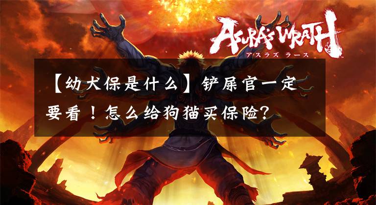 【幼犬保是什么】铲屎官一定要看！怎么给狗猫买保险？
