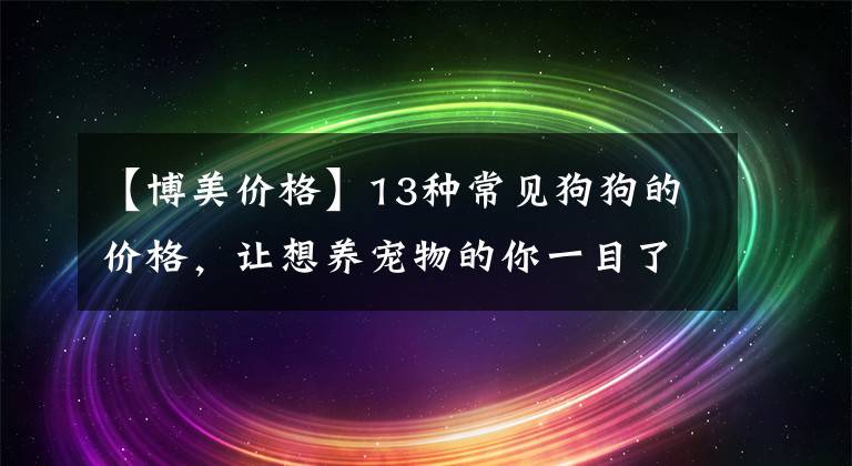 【博美价格】13种常见狗狗的价格，让想养宠物的你一目了然！