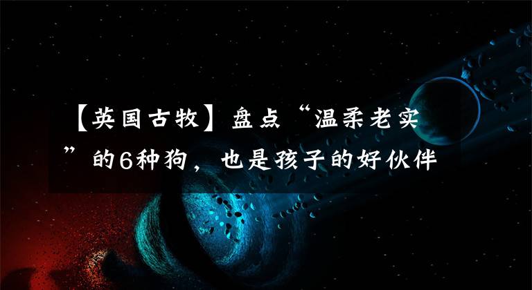 【英国古牧】盘点“温柔老实”的6种狗，也是孩子的好伙伴，谁养谁称赞