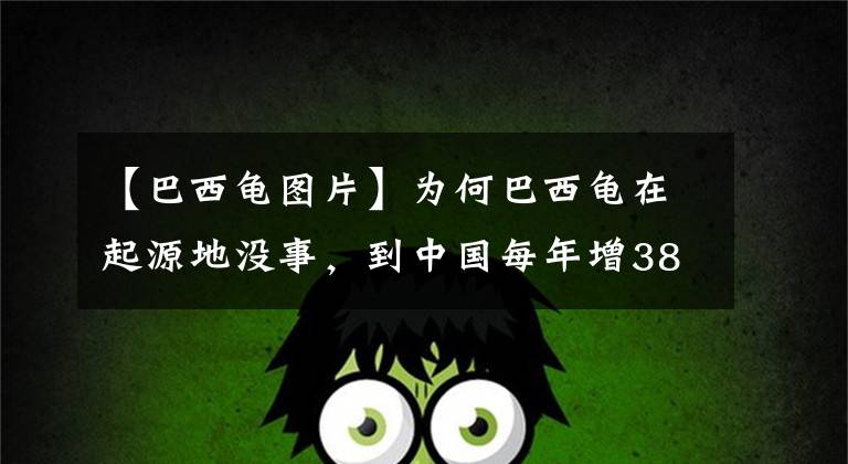 【巴西龟图片】为何巴西龟在起源地没事，到中国每年增3800万？我国吃货：能吃吗
