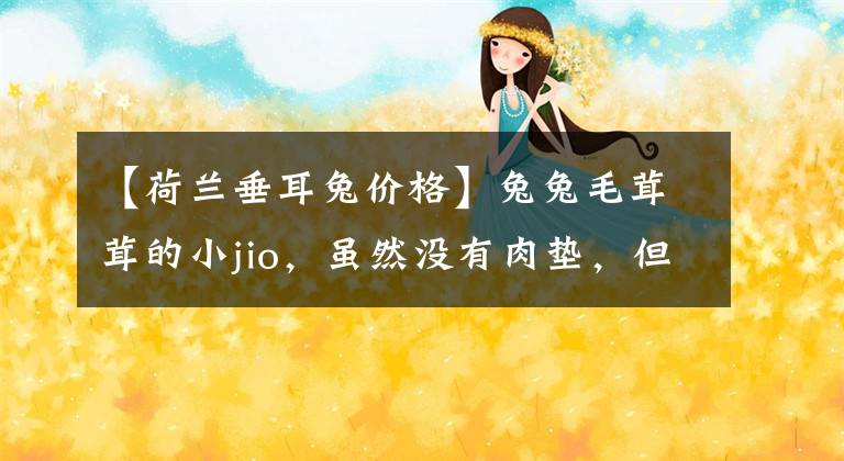 【荷兰垂耳兔价格】兔兔毛茸茸的小jio，虽然没有肉垫，但依然很好rua呀
