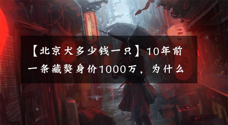 【北京犬多少钱一只】10年前一条藏獒身价1000万，为什么现在没人养了？看完涨知识了
