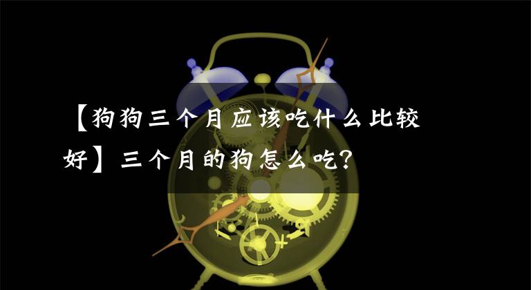 【狗狗三个月应该吃什么比较好】三个月的狗怎么吃？