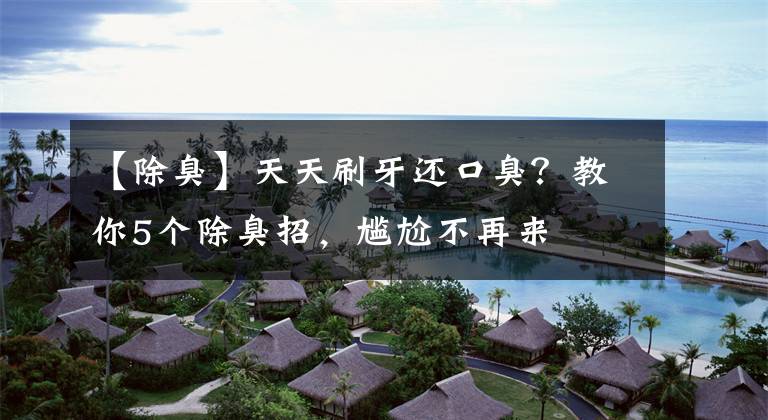 【除臭】天天刷牙还口臭？教你5个除臭招，尴尬不再来