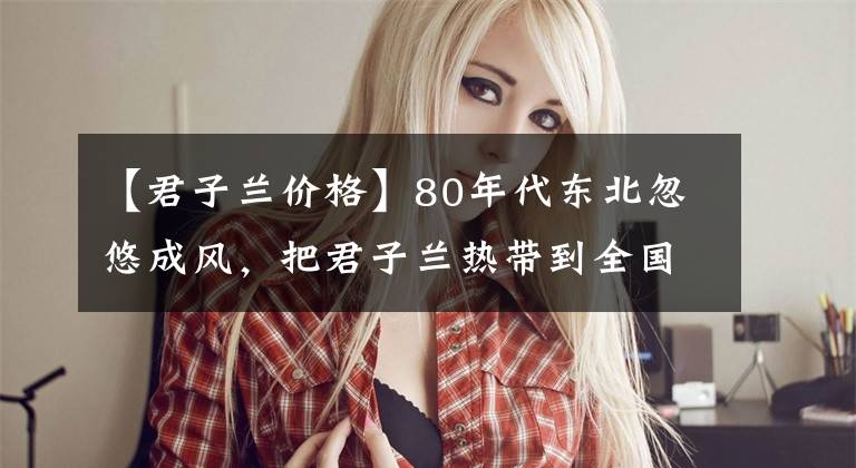 【君子兰价格】80年代东北忽悠成风，把君子兰热带到全国，一盆花能换一辆汽车