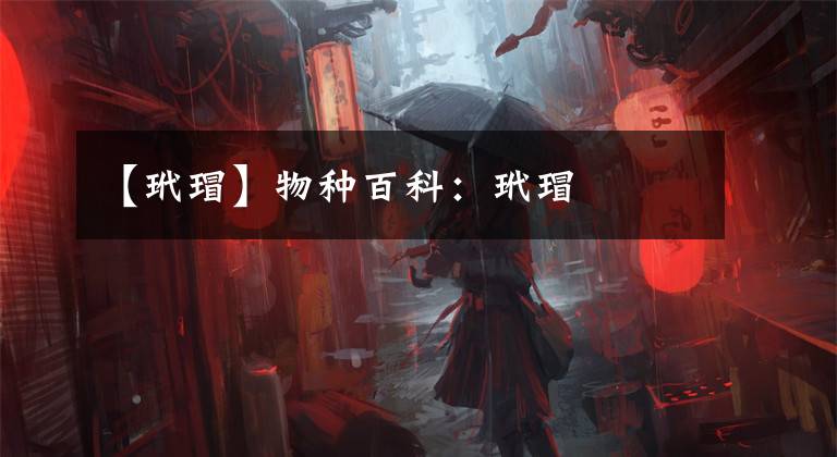 【玳瑁】物种百科：玳瑁