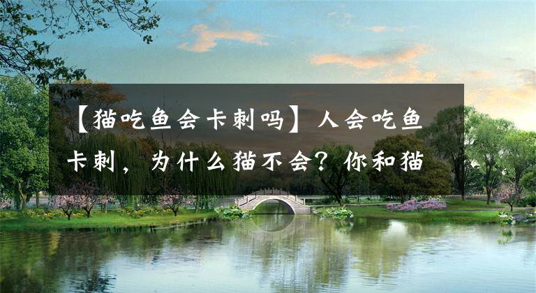 【猫吃鱼会卡刺吗】人会吃鱼卡刺，为什么猫不会？你和猫就差了一根鱼刺