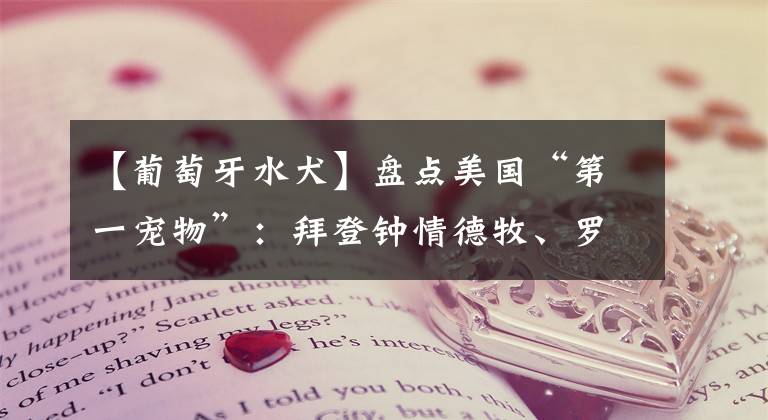 【葡萄牙水犬】盘点美国“第一宠物”：拜登钟情德牧、罗斯福曾派军舰救狗