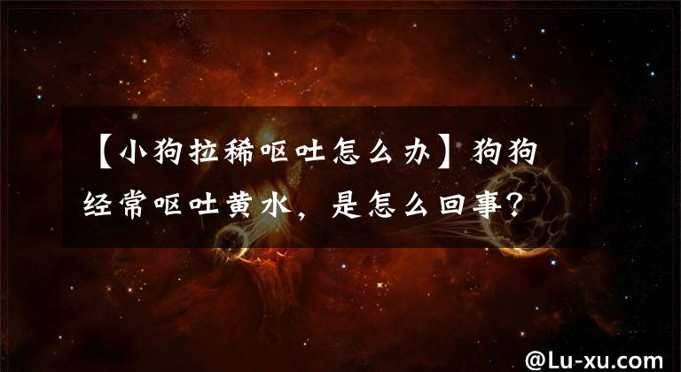 【小狗拉稀呕吐怎么办】狗狗经常呕吐黄水，是怎么回事？处理狗狗呕吐的有效措施参考
