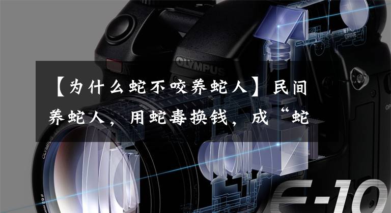 【为什么蛇不咬养蛇人】民间养蛇人，用蛇毒换钱，成“蛇王”