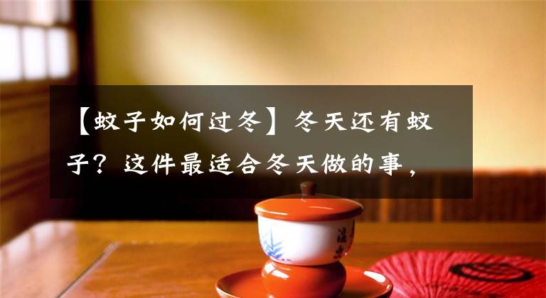 【蚊子如何过冬】冬天还有蚊子？这件最适合冬天做的事，需要您的参与