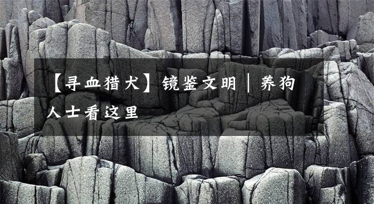 【寻血猎犬】镜鉴文明｜养狗人士看这里