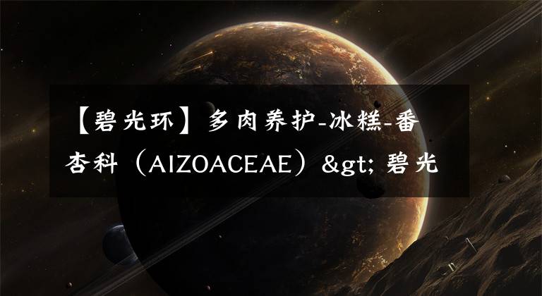 【碧光环】多肉养护-冰糕-番杏科（AIZOACEAE）> 碧光环属