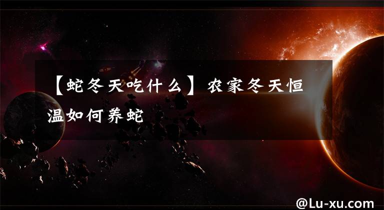 【蛇冬天吃什么】农家冬天恒温如何养蛇