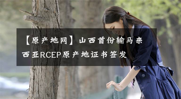 【原产地网】山西首份输马来西亚RCEP原产地证书签发