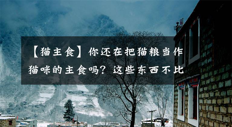 【猫主食】你还在把猫粮当作猫咪的主食吗？这些东西不比猫粮差哦！