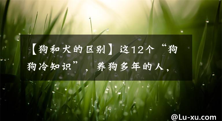 【狗和犬的区别】这12个“狗狗冷知识”，养狗多年的人，也不一定懂