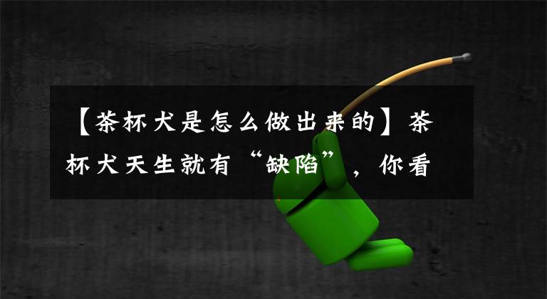 【茶杯犬是怎么做出来的】茶杯犬天生就有“缺陷”，你看茶杯犬很萌，其实是一场悲剧…