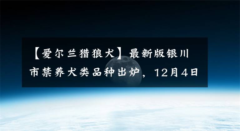 【爱尔兰猎狼犬】最新版银川市禁养犬类品种出炉，12月4日起禁养这46种犬类