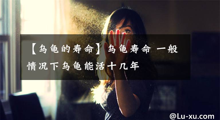 【乌龟的寿命】乌龟寿命 一般情况下乌龟能活十几年