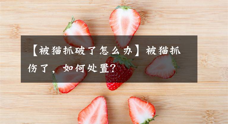 【被猫抓破了怎么办】被猫抓伤了，如何处置？