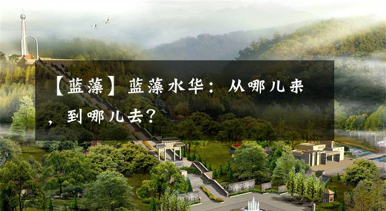 【蓝藻】蓝藻水华：从哪儿来，到哪儿去？