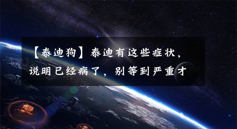 【泰迪狗】泰迪有这些症状，说明已经病了，别等到严重才后知后觉