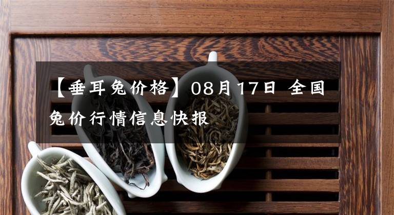 【垂耳兔价格】08月17日 全国兔价行情信息快报